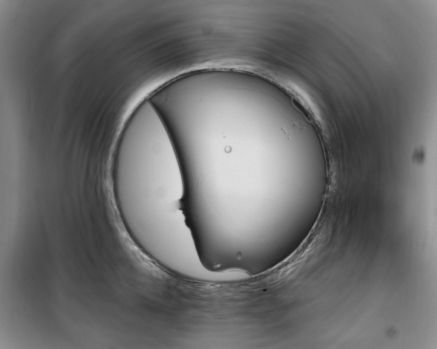 X0000100470952200806131124