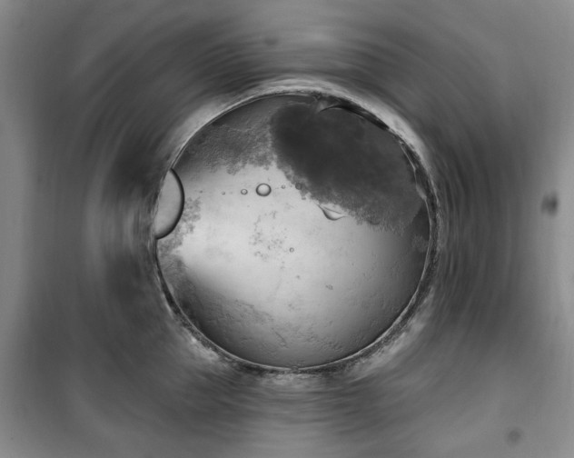 X0000100470953200806131124