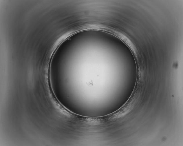 X0000100470954200806131124