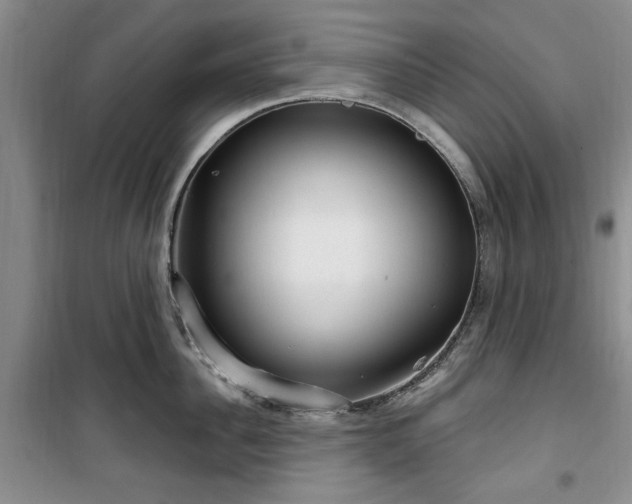 X0000100470956200806131124