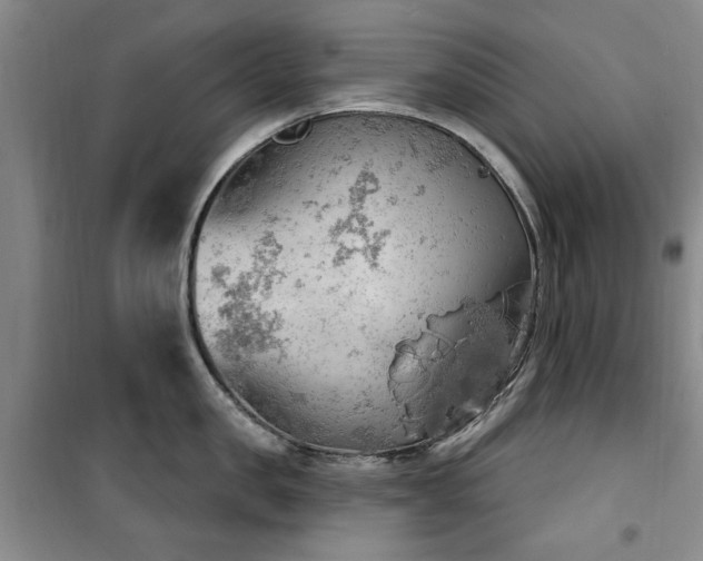 X0000100470957200806131124