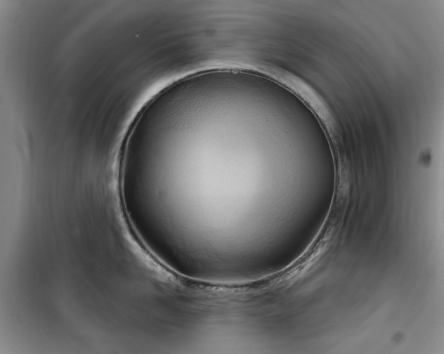 X0000100470958200806131124