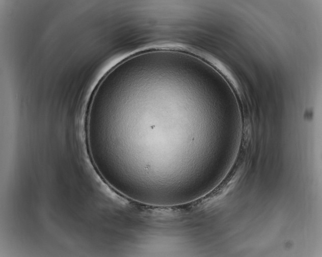 X0000100470959200806131124