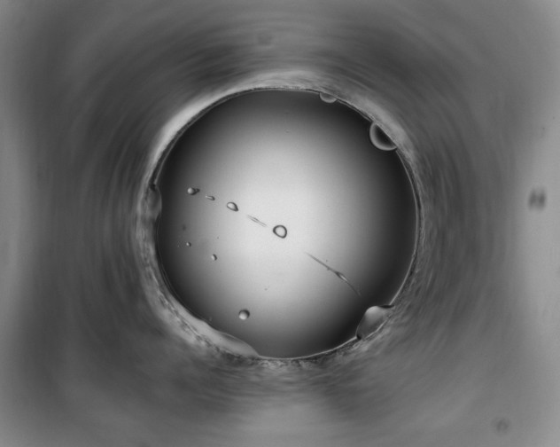 X0000100470960200806131124