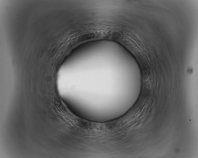 X0000100470961200806131124