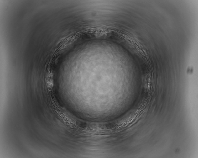 X0000100470962200806131124