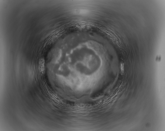 X0000100470963200806131124