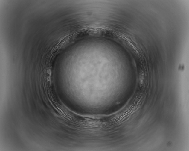 X0000100470964200806131124