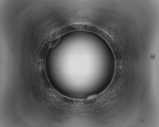 X0000100470965200806131124