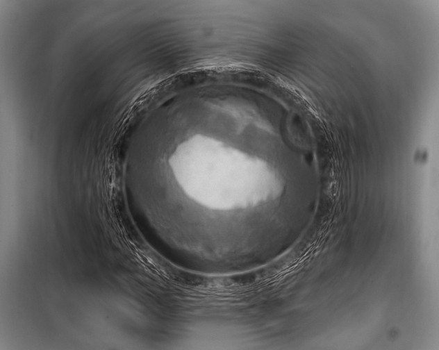 X0000100470966200806131124