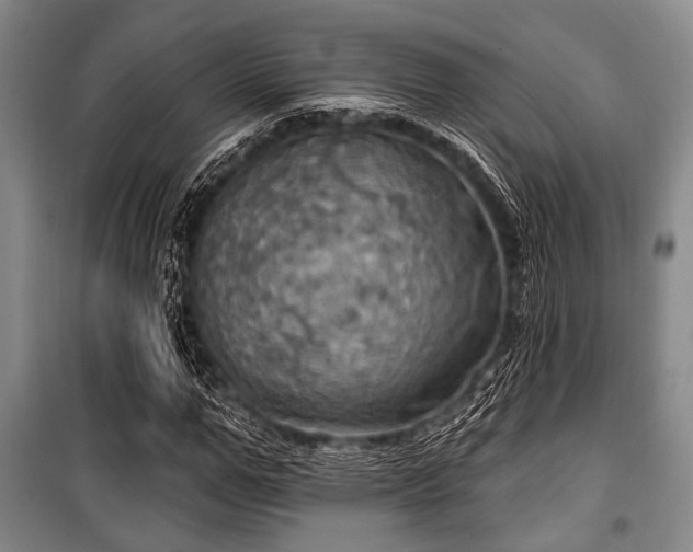 X0000100470967200806131123