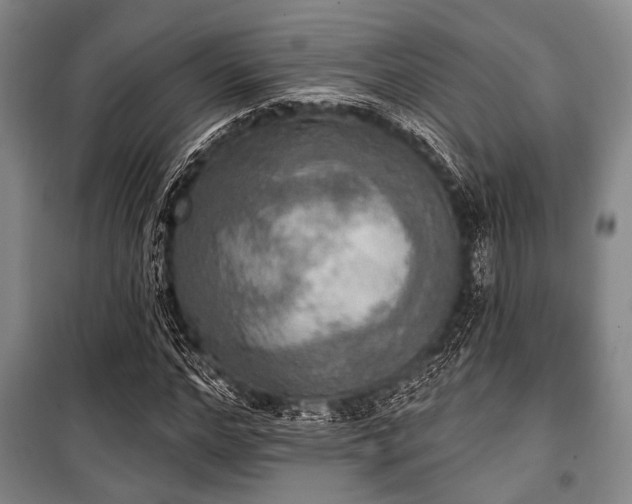 X0000100470968200806131123