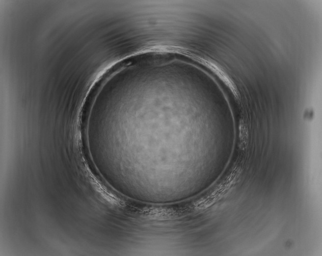 X0000100470972200806131123