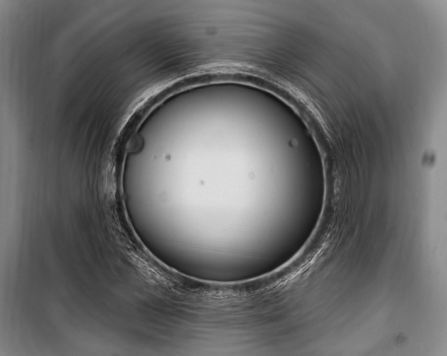 X0000100470973200806131123