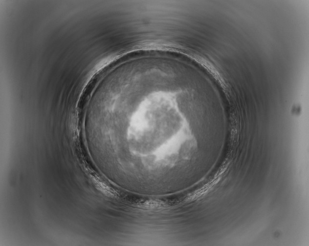 X0000100470974200806131123