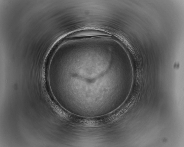 X0000100470976200806131123