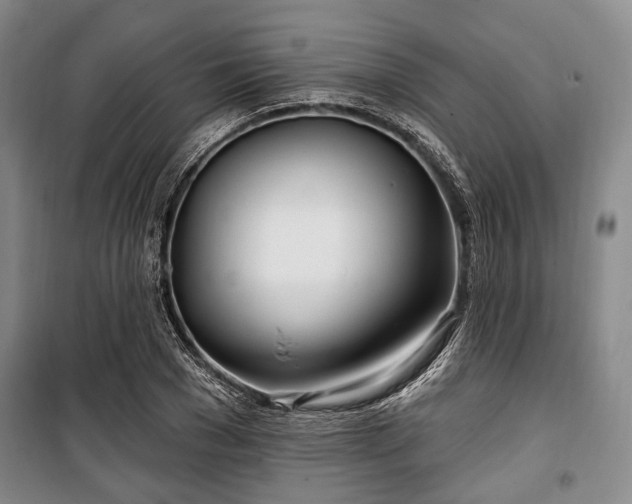 X0000100470977200806131123