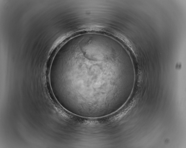 X0000100470978200806131123