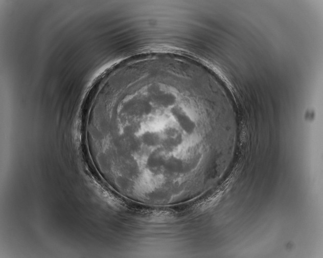 X0000100470979200806131123