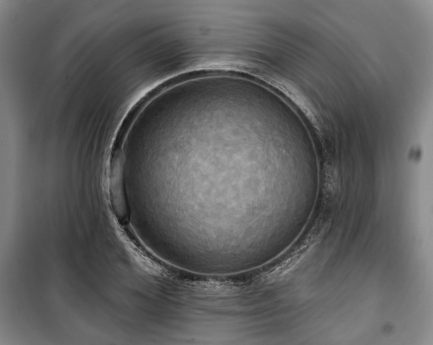 X0000100470980200806131123