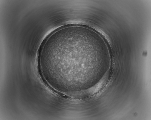 X0000100470983200806131123