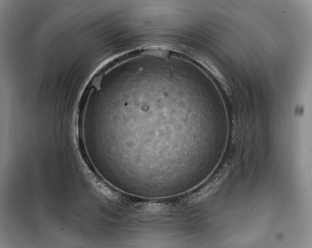 X0000100470984200806131123