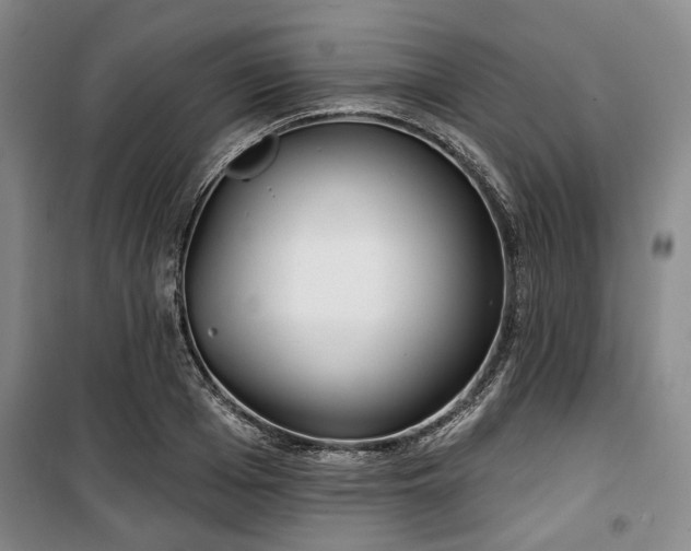 X0000100470985200806131123