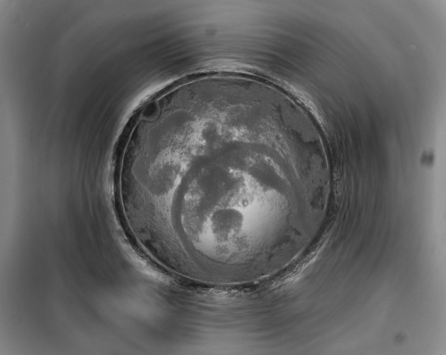 X0000100470987200806131123