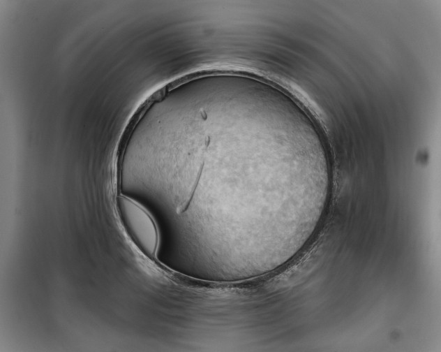 X0000100470988200806131123