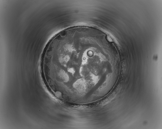 X0000100470991200806131123