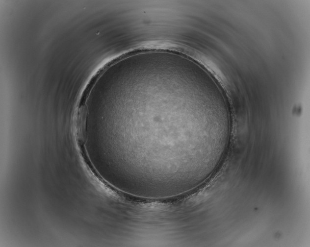 X0000100470992200806131123