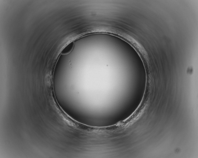 X0000100470993200806131123