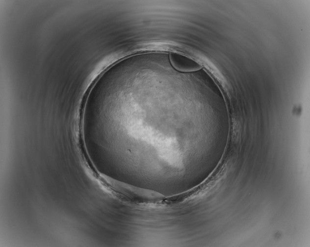 X0000100470994200806131123