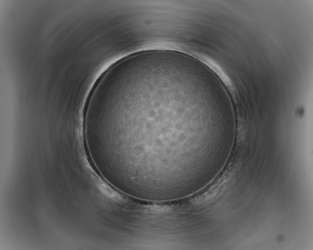 X0000100470996200806131123