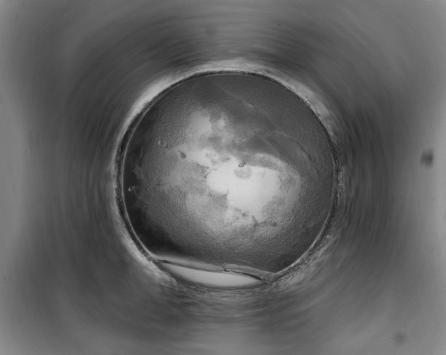 X0000100470998200806131123