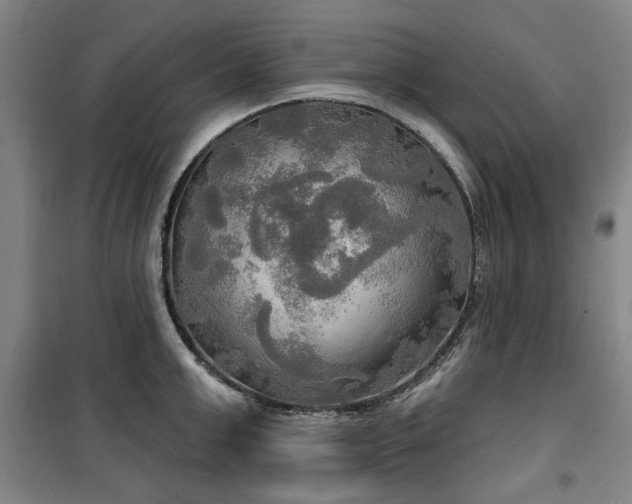 X0000100470999200806131123