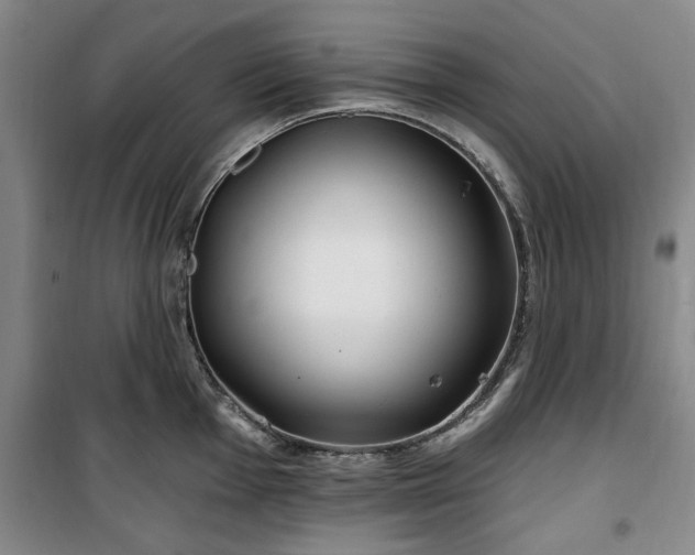 X0000100471001200806131123