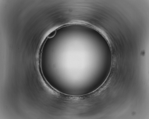 X0000100471003200806131123