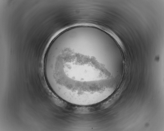 X0000100471004200806131123