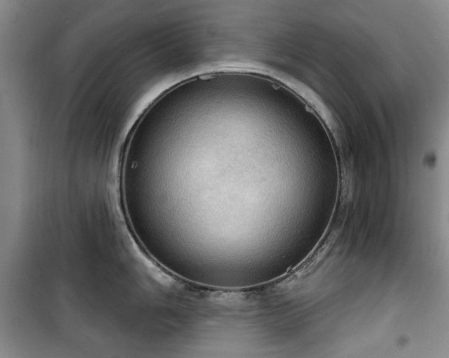 X0000100471006200806131123