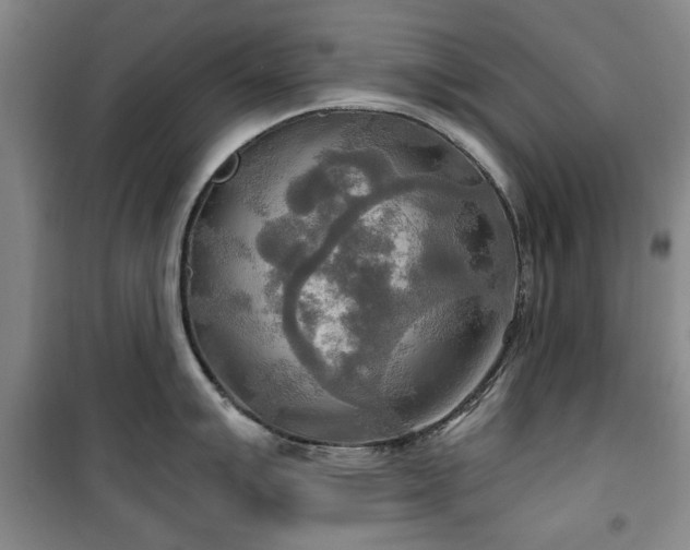 X0000100471007200806131123