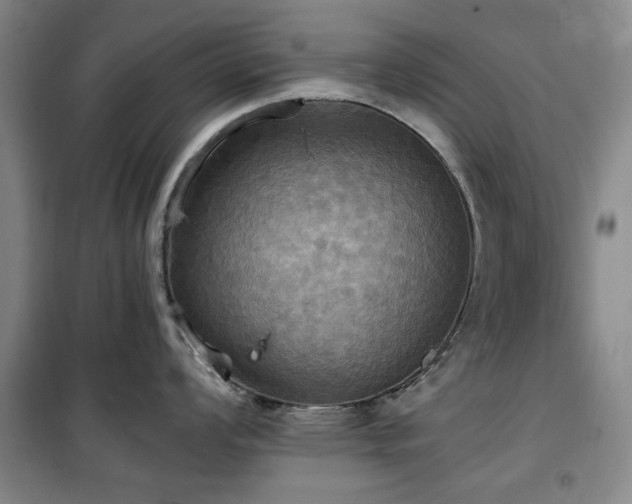 X0000100471008200806131123