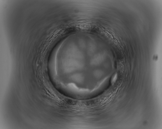 X0000100471009200806131122