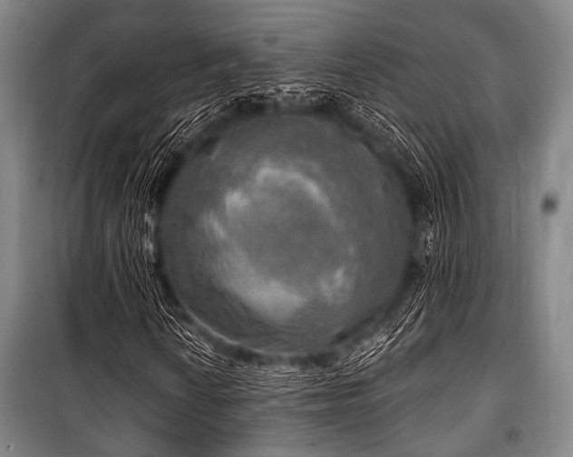 X0000100471010200806131122