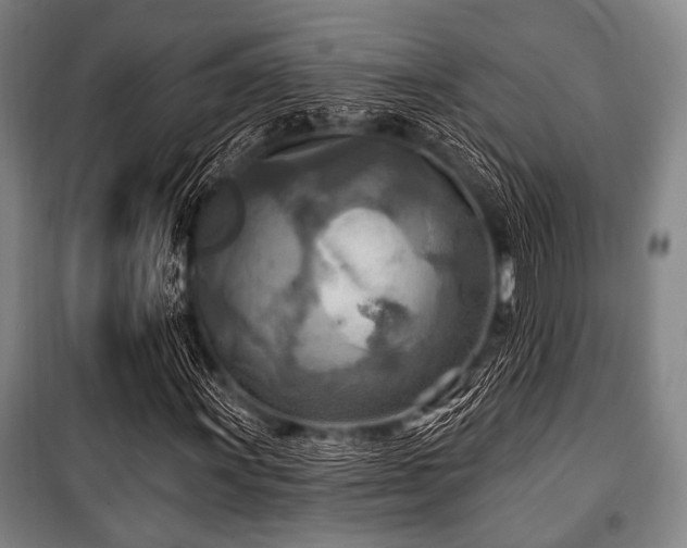 X0000100471011200806131122