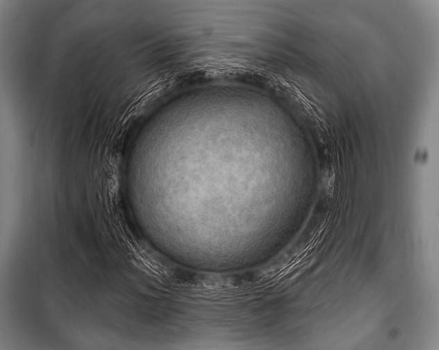 X0000100471012200806131122