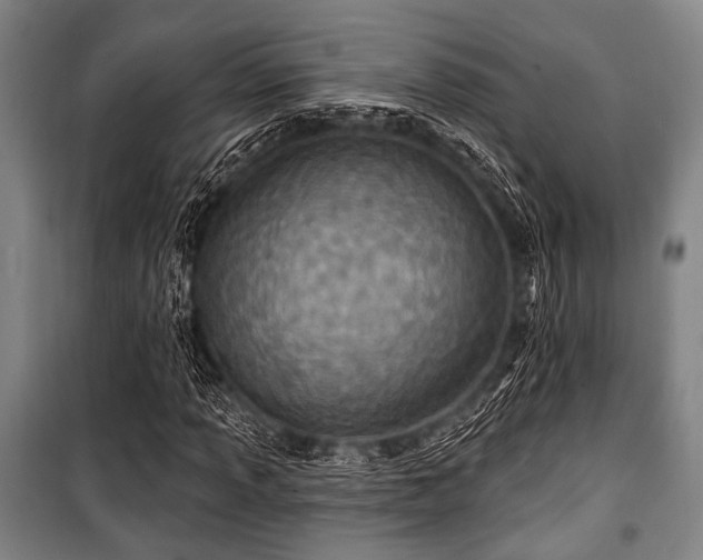 X0000100471013200806131122