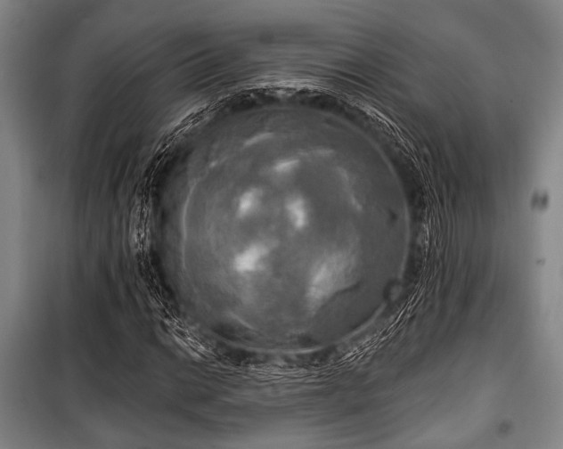 X0000100471014200806131122