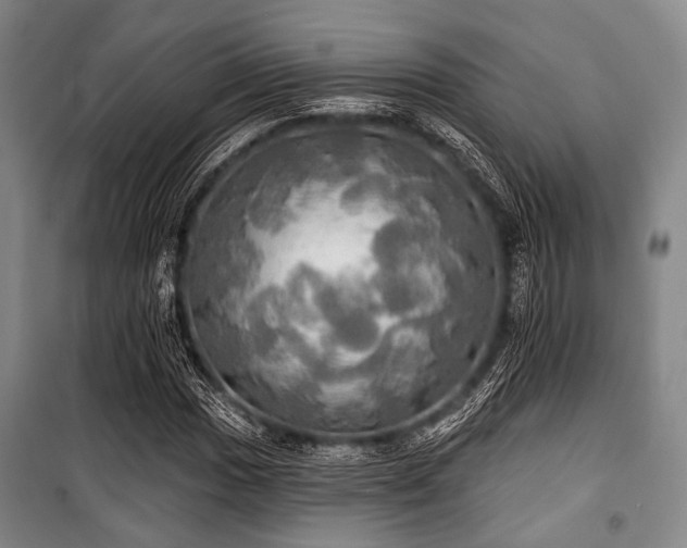 X0000100471017200806131122