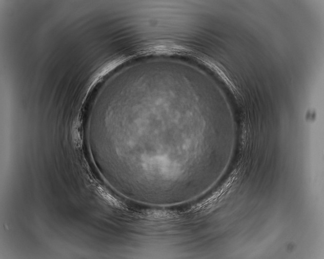 X0000100471018200806131122